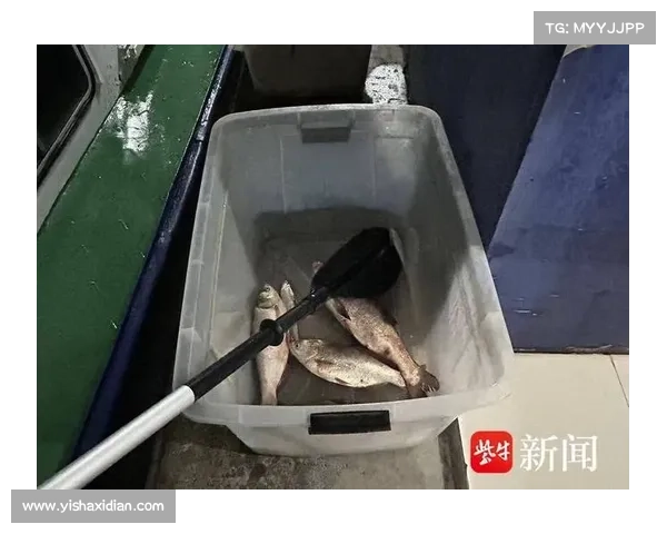 静安区环保部门联合执法全面打击非法捕捞行为确保水域生态环境安全