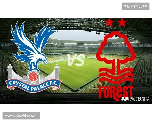 纽约喷气机老板伍迪约翰逊以1.9亿英镑收购水晶宫43%股份待英超批准 纽约喷气机老板伍迪约翰逊以1.9亿英镑收购水晶宫43%股份待英超批准